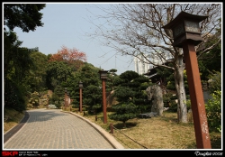 志蓮靜院, 南蓮園池