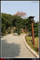 志蓮靜院, 南蓮園池