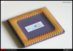 CPU