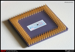 CPU