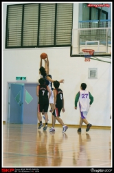 大戰DHL, 小狗, Bear, Douglas